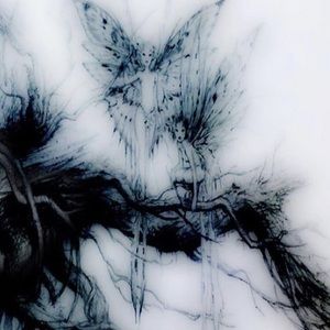 Meet your Posher, Alisa